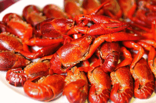 大虾加工爆料视频大全,爆料视频大全深度解析  第2张